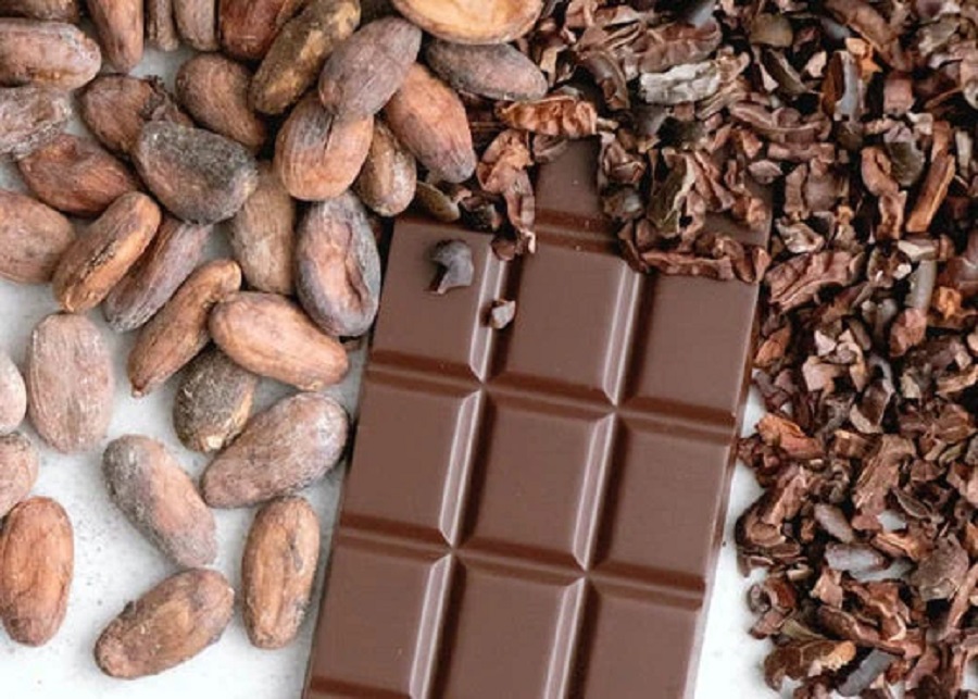 Grow a Chocolate Business